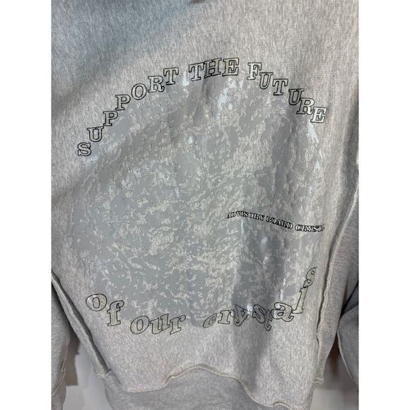 Advisory Board Crystals‎ Planet Saving 2 Gray Cotton Pullover Hoodie Large RARE! - Picture 8 of 14